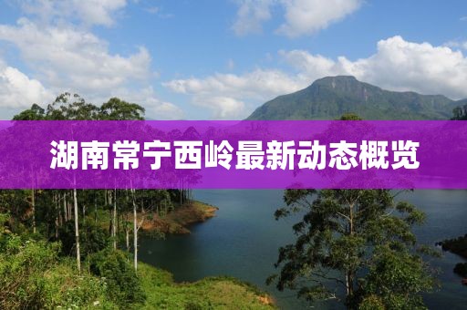 湖南常宁西岭最新动态概览