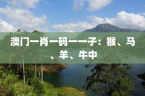 澳门一肖一码一一子：猴、马、羊、牛中