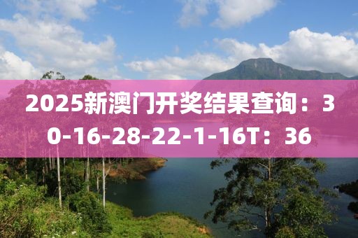 2025新澳门开奖结果查询：30-16-28-22-1-16T：36