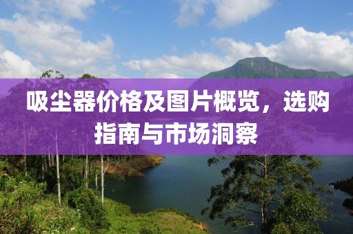 吸尘器价格及图片概览，选购指南与市场洞察