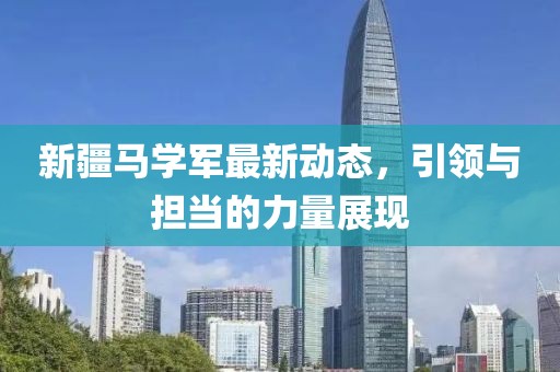 新疆马学军最新动态，引领与担当的力量展现