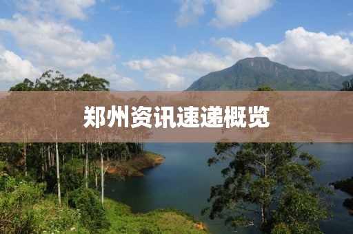 郑州资讯速递概览