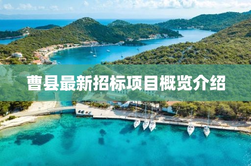 曹县最新招标项目概览介绍