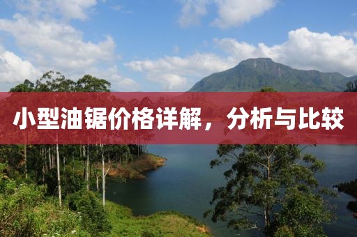 小型油锯价格详解，分析与比较