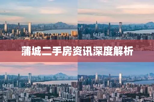 蒲城二手房资讯深度解析