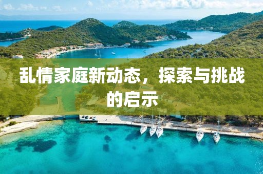 乱情家庭新动态，探索与挑战的启示