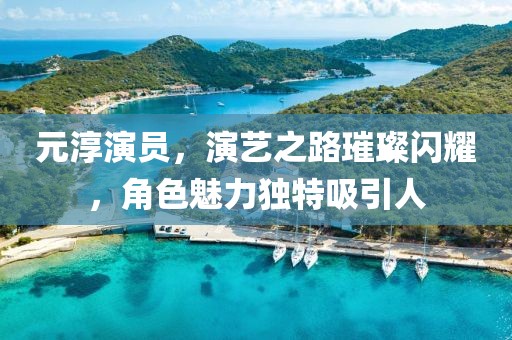 元淳演员，演艺之路璀璨闪耀，角色魅力独特吸引人