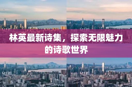 林英最新诗集，探索无限魅力的诗歌世界
