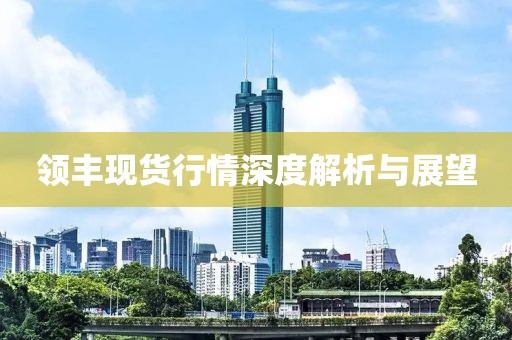 领丰现货行情深度解析与展望