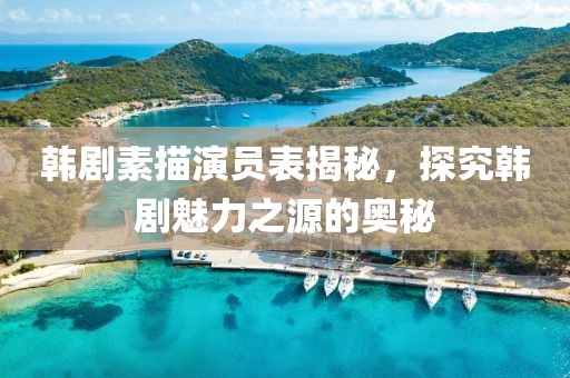 韩剧素描演员表揭秘，探究韩剧魅力之源的奥秘
