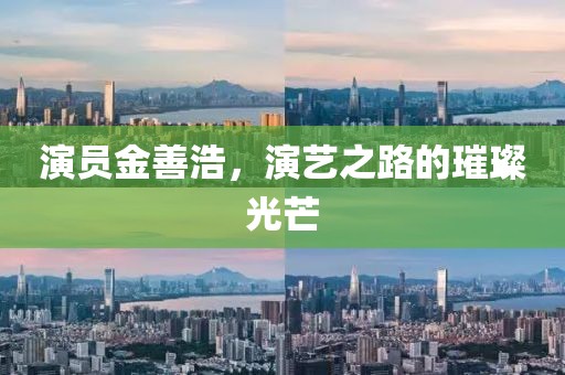 演员金善浩，演艺之路的璀璨光芒