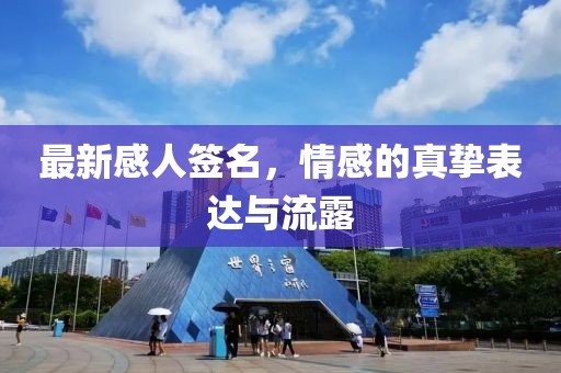 最新感人签名，情感的真挚表达与流露