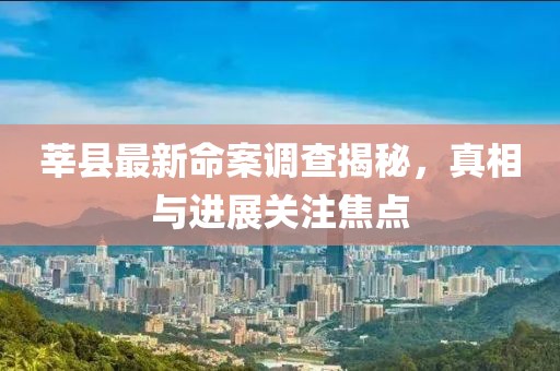 莘县最新命案调查揭秘，真相与进展关注焦点