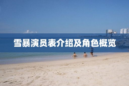 雪暴演员表介绍及角色概览