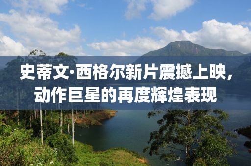 史蒂文·西格尔新片震撼上映，动作巨星的再度辉煌表现