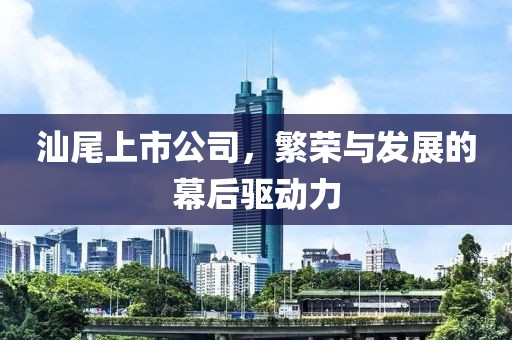 汕尾上市公司，繁荣与发展的幕后驱动力