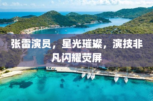 张雷演员，星光璀璨，演技非凡闪耀荧屏