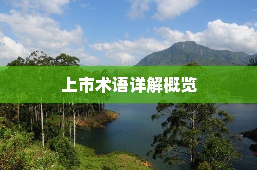 上市术语详解概览