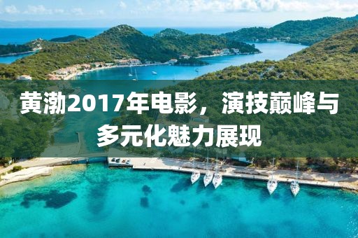 黄渤2017年电影，演技巅峰与多元化魅力展现