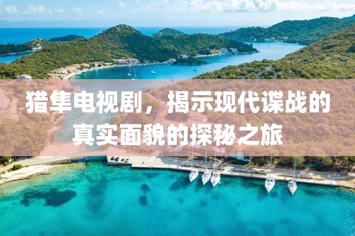 猎隼电视剧，揭示现代谍战的真实面貌的探秘之旅