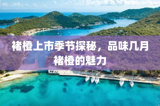 褚橙上市季节探秘，品味几月褚橙的魅力