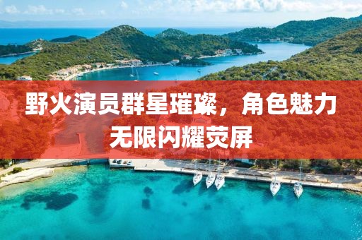 野火演员群星璀璨，角色魅力无限闪耀荧屏