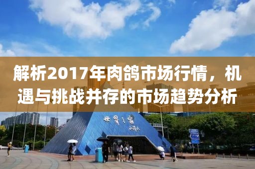 解析2017年肉鸽市场行情，机遇与挑战并存的市场趋势分析