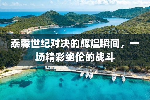 泰森世纪对决的辉煌瞬间，一场精彩绝伦的战斗