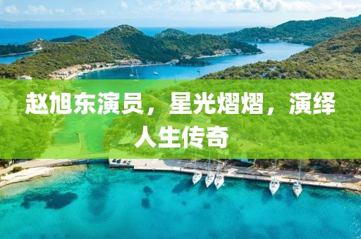 赵旭东演员，星光熠熠，演绎人生传奇