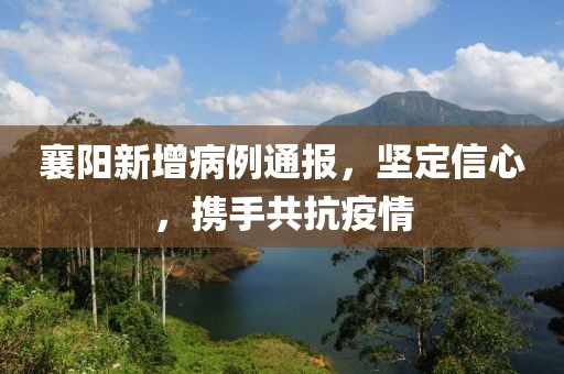 襄阳新增病例通报，坚定信心，携手共抗疫情