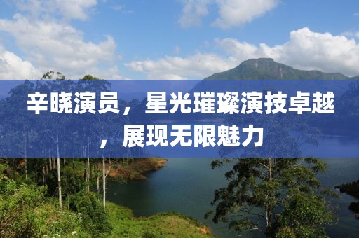 辛晓演员，星光璀璨演技卓越，展现无限魅力