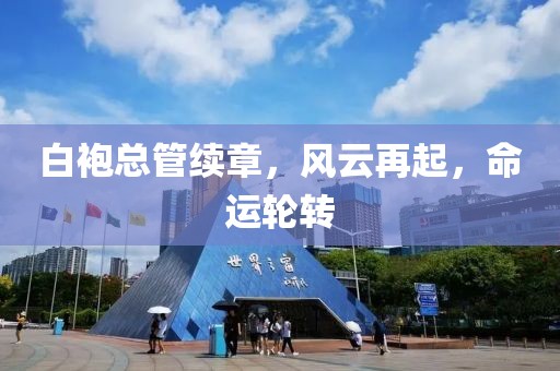 白袍总管续章，风云再起，命运轮转