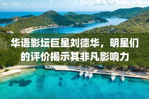 华语影坛巨星刘德华，明星们的评价揭示其非凡影响力