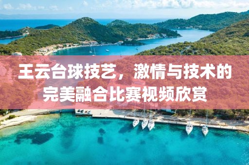 王云台球技艺，激情与技术的完美融合比赛视频欣赏