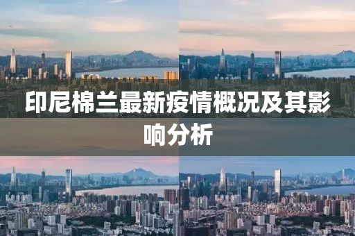 印尼棉兰最新疫情概况及其影响分析