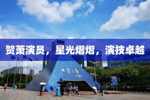 贺萧演员，星光熠熠，演技卓越