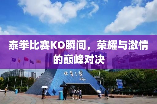他年词笔隐 第19页