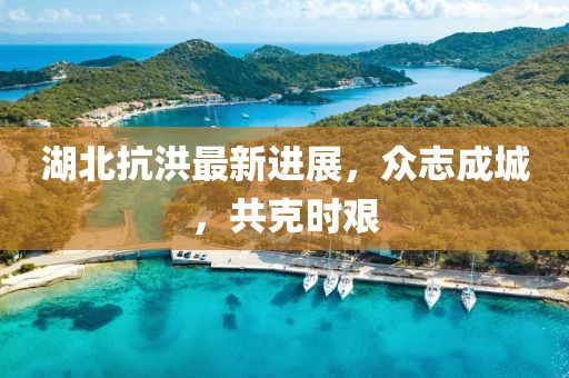 湖北抗洪最新进展，众志成城，共克时艰