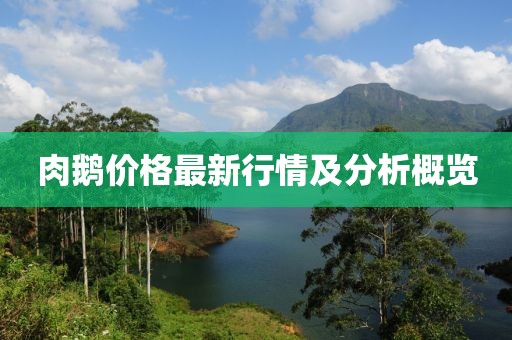肉鹅价格最新行情及分析概览