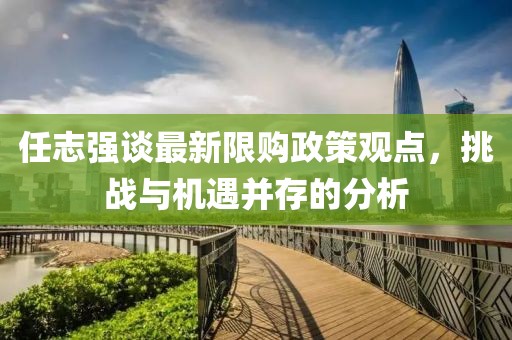 任志强谈最新限购政策观点，挑战与机遇并存的分析