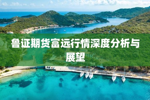 鲁证期货富远行情深度分析与展望