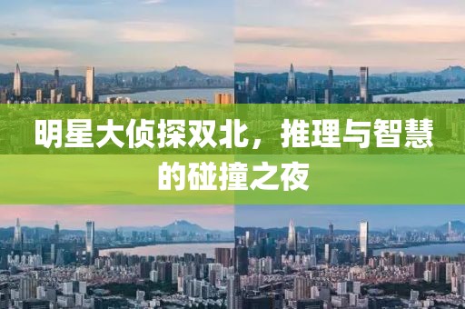 明星大侦探双北，推理与智慧的碰撞之夜