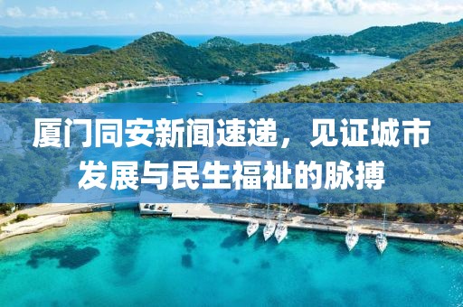 厦门同安新闻速递，见证城市发展与民生福祉的脉搏
