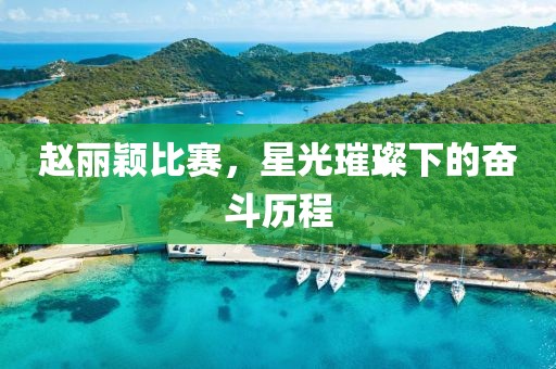 赵丽颖比赛，星光璀璨下的奋斗历程