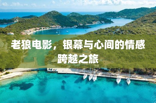老狼电影，银幕与心间的情感跨越之旅