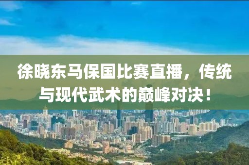 徐晓东马保国比赛直播，传统与现代武术的巅峰对决！