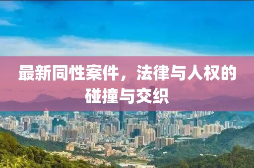 最新同性案件，法律与人权的碰撞与交织