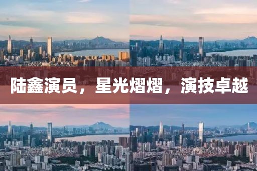 陆鑫演员，星光熠熠，演技卓越