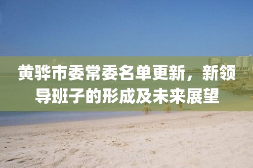 黄骅市委常委名单更新，新领导班子的形成及未来展望