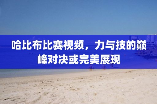 哈比布比赛视频，力与技的巅峰对决或完美展现